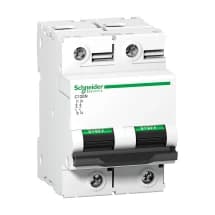 Schneider Electric 80 Amp - 125 Amp AC Miniature Circuit Breakers - C120 - 15kA (2 Pole & C Curve)
